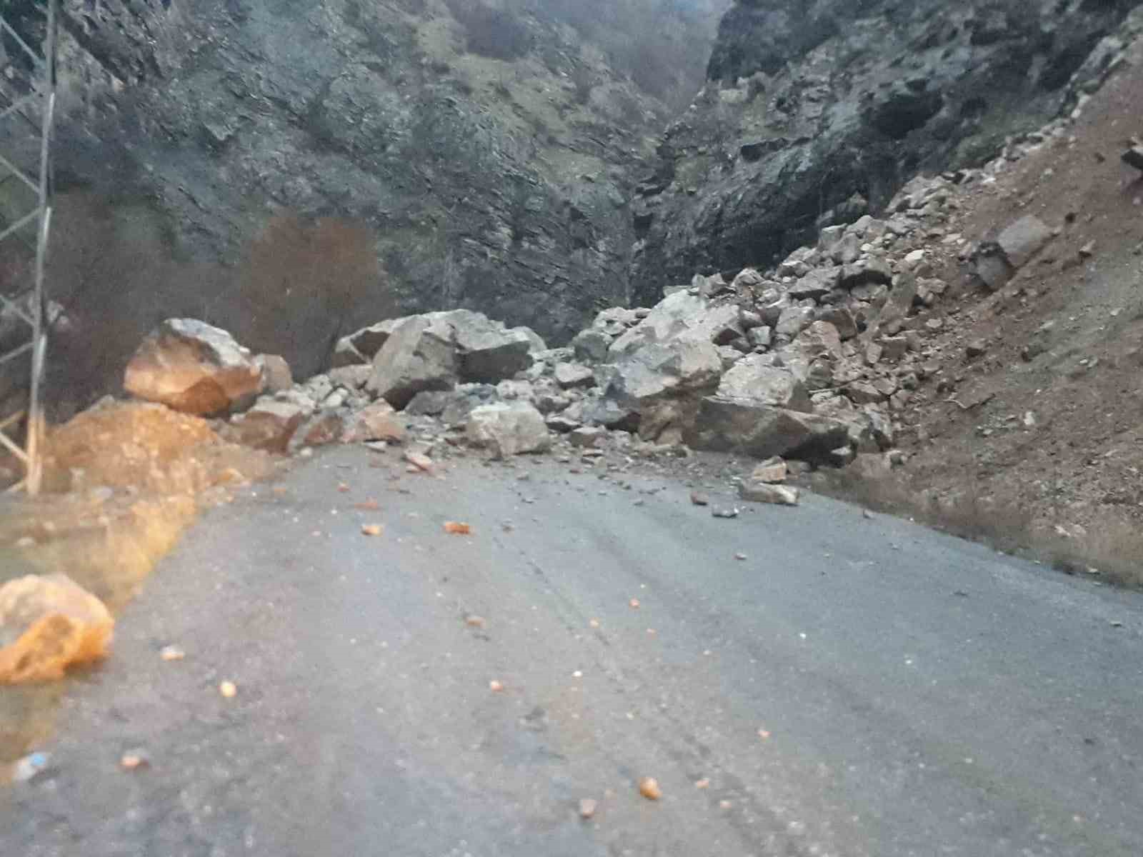 Hakkari’de dağdan kopan kayalar köy yolunu kapattı