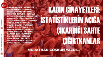 Kadın Cinayetleri: İstatistiklerin Açığa Çıkardığı Sahte Çığırtkanlar