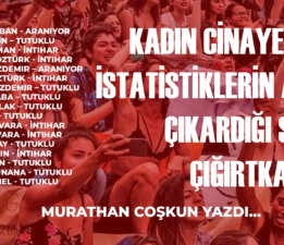 Murathan Coşkun: Kadın Cinayetleri: İstatistiklerin Açığa Çıkardığı Sahte Çığırtkanlar