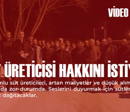 Erzurum’da Süt Üreticilerinin Çığlığı: “Emeğimizin Karşılığını Almak İstiyoruz!”
