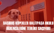 Başıboş Köpekler Halitpaşa Okulu Öğrencilerine Tehlike Saçıyor