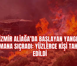 İzmir Aliağa’da Başlayan Yangın Ormana Sıçradı: Yüzlerce Kişi Tahliye Edildi